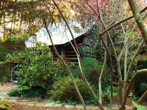 The Old Log Cabin - Image 4