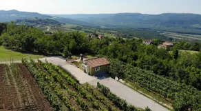 Casa Monteriol in the middle of the vineyard - Image 5