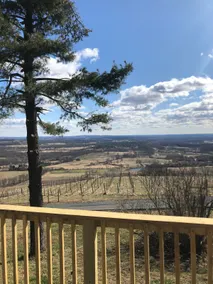 Brews & Views ~ Cottage at Dirt Farm Brewing - Image 3