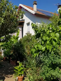 GROUND FLOOR HOUSE - Image 2