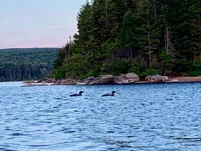 Lakefront Cabin Big Averill Lake Vermont - Image 3