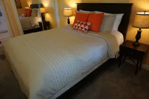 Fresh new 2BR in-law unit with private entrance - Image 3