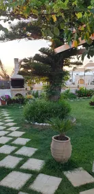GARDEN - Image 3