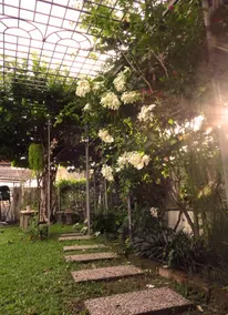 The Garden (town area, near Jonker, pet friendly) - Image 4