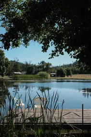 Stunning Vineyard Pond Cabin - Image 5