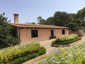 CHALET CON PISCINA SA PLETA GRAN - Image 3
