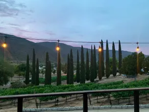 Adorable Guesthouse in Heart of Valle de Guadalupe - Image 3