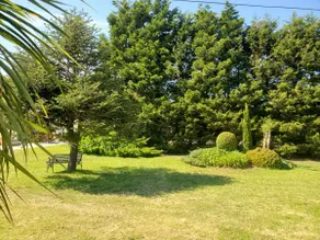 Casa de campo - Image 5