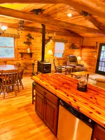 Turkey Ridge Cabin w/ Hot Tub and Pool - Image 3