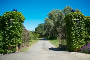 Trinite Estate - Image 2
