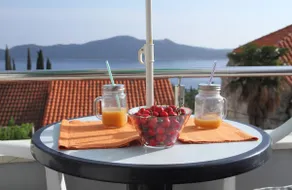 Apartments Grkovic A1 Trsteno Dubrovnik - Image 2