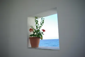 Seafront Studio 3 persons, Zante (I) - Image 5