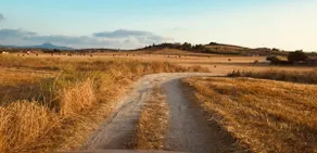 Sa Coma Rustic Eco Farm - Image 2