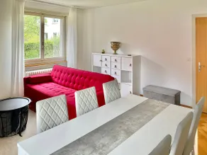 Cozy apartment in Zurich/Netflix/terrace - Image 5