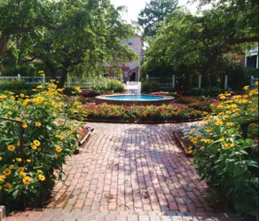 Great Price;Beautiful, Spacious 3 Bed 2 Bath in a House Near Downtown Portsmouth - Image 2