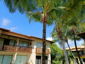 Village Sol e Brisa, Itacimirim, 6x interest-free - Image 3