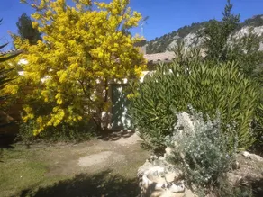 La Campanette nel Luberon - Image 4