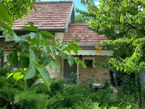 Creative House - Shelter - Image 5