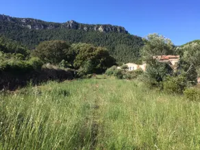 Entire ECO Rural House: nature, intimacy... - Image 3