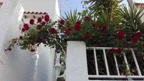 Casa en Costa Dorada - Image 3