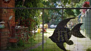 House close to station & direct to opera house.... - Image 2