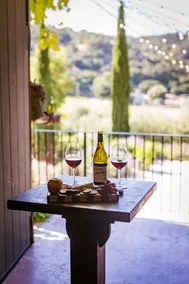 The Vineyard House in the Pastures of Heaven - Image 4