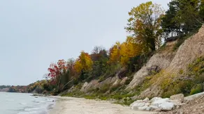 Forget-Me-Not, Lake Michigan house - Image 5
