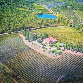 Chianti Villa in Tuscany near Siena and Arezzo - Image 2
