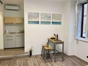 Apartments Flanaticus III - Studio in City Centre - Image 2