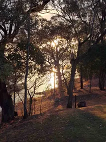 Ferry Road River House Baffle Creek - Image 4