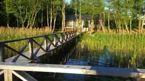 Moon cabin/sauna - Image 2