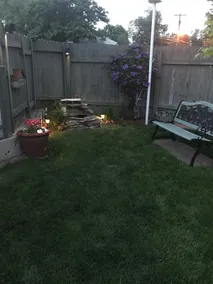 Bee’s Haven 2 - Image 3