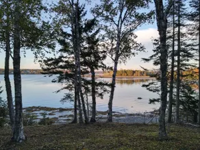 Raccoon Cove Waterfront Hideaway - Image 5