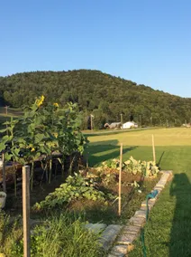 Studio Suite with Vermont Style & Amazing Views - Image 3