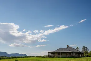 Hanging Tree Wines - Image 4