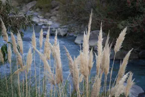 Mountain retreat near Santiago - Image 5