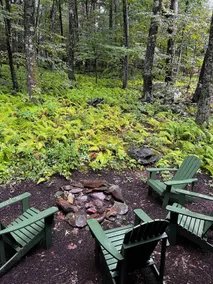 The Bear Dance Cabin at Wintergreen Resort - Image 4