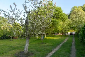Sevgi Bağı (10% discount for 2 nights and more) - Image 4