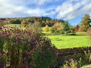 Newly refreshed: Charming Chilterns Cottage - Image 2