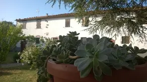 110 Fattoria le Vigne dei Guelfi, 5 minutes from the sea - Image 3