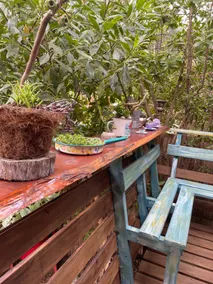 Tinyhouse_poetica - Image 5
