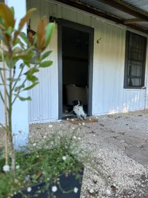 Ulva cottage - history in the heart of Penola - Image 4