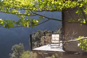 Sorène – A Cabin in the Cévennes - Image 3