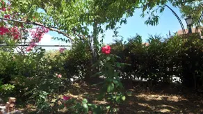 Corfu Villa Linea - Image 5