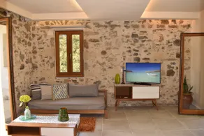 Platanus House - Image 3