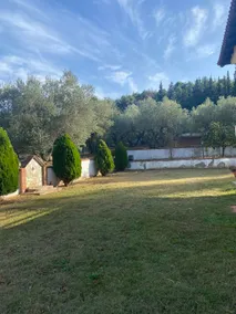 Elaiones house - Image 4
