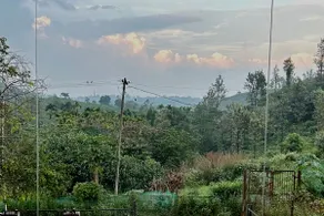 Kanakamala Home Stay, Wayanad - Image 4