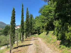 Podere Beatrice 20 Pax by VILLASRETREATS - Image 5