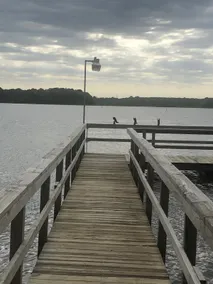 Lake Front Paradise, Lake Palestine - Image 4