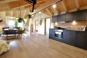 Alpine Easy Flats - Penthouse with Balcony - Image 3